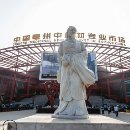 中药材 批发玉竹片 玉竹条 玉竹粉 玉竹500g 厂家销农产品大货图3