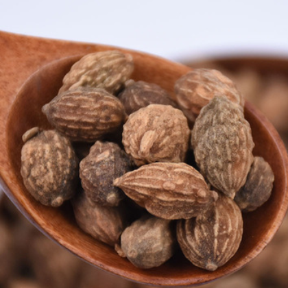 中药材批发益智仁500g益智仁香料 海南益智现货批发 厂家