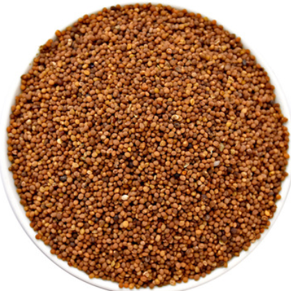 籽类中药材批发菟丝子500g 野生菟丝子 兔丝子 菟丝籽 厂家现货图3