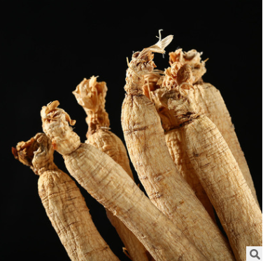 长白山人参个全须生晒参产地直销产地货源品质保障生晒参人参图2