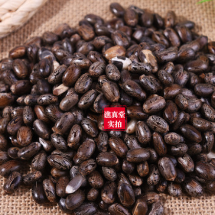 蓖麻子中药材草药老麻了草麻大货批发图2