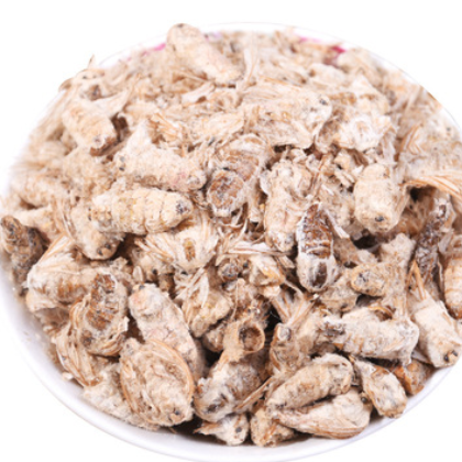 中药材蚕蛾雄蚕蛾原蚕蛾家蚕蛾晚蚕蛾500克图3