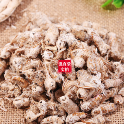 中药材蚕蛾雄蚕蛾原蚕蛾家蚕蛾晚蚕蛾500克图2