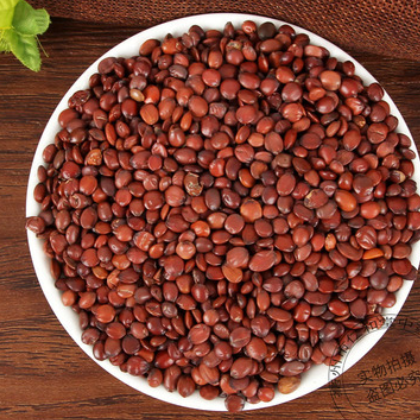 酸枣仁中药材批发酸枣仁各种规格承接大货量大从优农产品加工图2