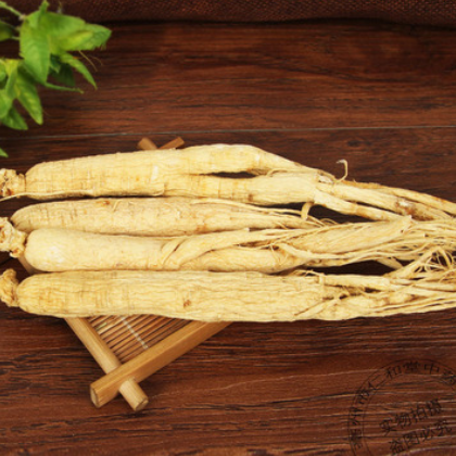 人参东北长白特产 白参干人参 生晒参代发货量大从优图2