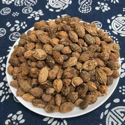 产地货源中药材批发益智仁益智仁米500g散装大货量大从优图2