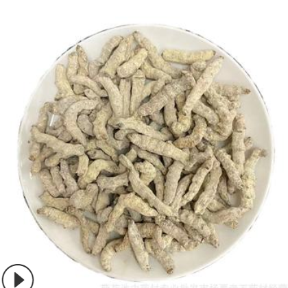 产地货源中药材批发 产地四川西昌 白僵蚕 僵蚕 炒僵蚕500g可磨粉图3