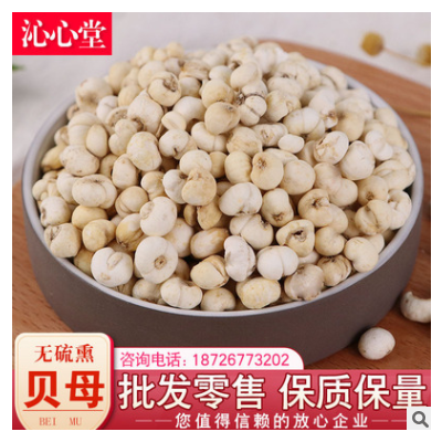 中药材批发贝母 各种规格贝母川贝母承接大货一件代发贝母