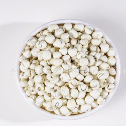 川贝母中药材批发松贝母 贝母产地货源农产品加工量大从优 代磨粉图2