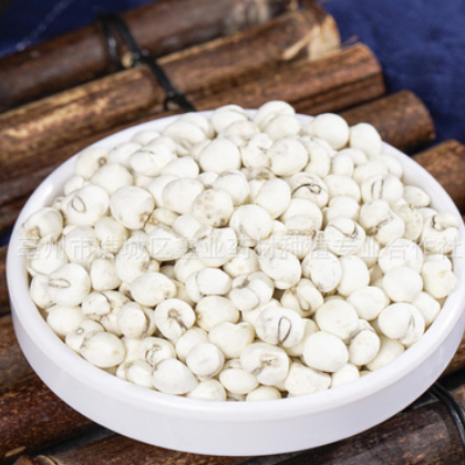 川贝母中药材批发松贝母 贝母产地货源农产品加工量大从优 代磨粉