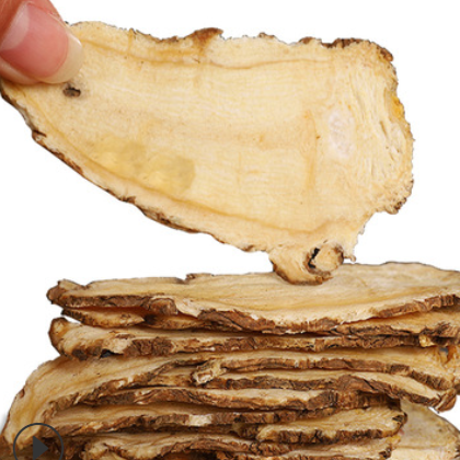 原产地甘肃岷县当归头大芯片250g克灌装大片中药材切片代发代工图3