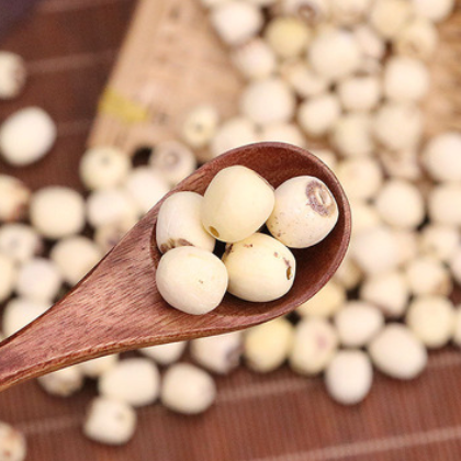 莲子 磨皮白莲子 干货批发 湘潭产地多重挑选农产品加工 量大从优图2