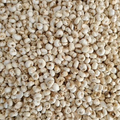 支持定制 平贝母 品质保障规格多样 价格实惠量大从优图2