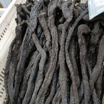 诚信经营 肉苁蓉个 品质保障规格多样 价格实惠量大从优