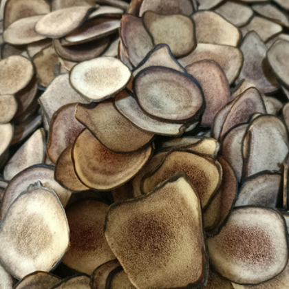 规格多样质优材质 鹿角片 品质保障支持定制 价格实惠量大从优图3