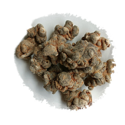 三七 品质保障规格多样 价格实惠量大从优 诚信厂家欢迎选购图3