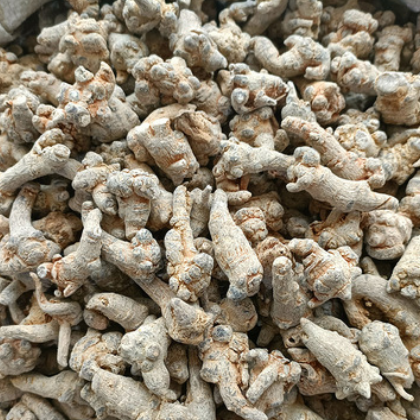 三七 品质保障规格多样 价格实惠量大从优 诚信厂家欢迎选购图2