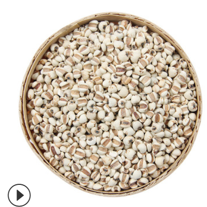 厂家批发低温烘焙熟五谷杂粮磨房代用茶薏苡仁米烘炒香熟大薏米仁图2