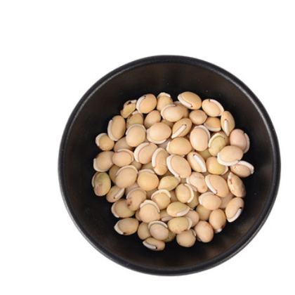 低温烘焙熟白扁豆 农家自产五谷杂粮低温烘焙磨粉原料生白扁豆图2