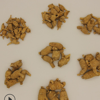 产地批发山东文登西洋参原丛 圆粒 花旗参粒头短支整枝 现货批发图2