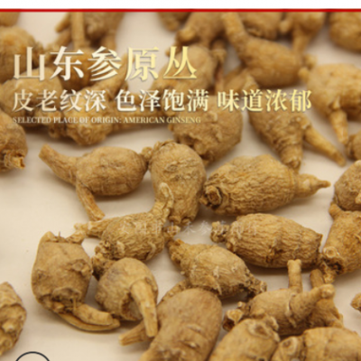 产地批发山东文登西洋参原丛 圆粒 花旗参粒头短支整枝 现货批发