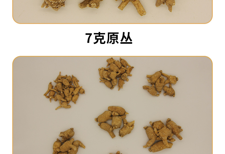 长白山西洋参_06