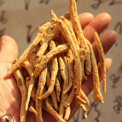 产地厂家批发东北长白山土特产西洋参毛条花旗参小条一斤打粉图2