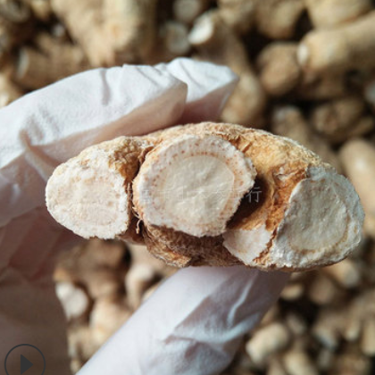 产地厂家批发长白山土特产西洋参圆粒一斤整枝花旗参段打粉切片图2