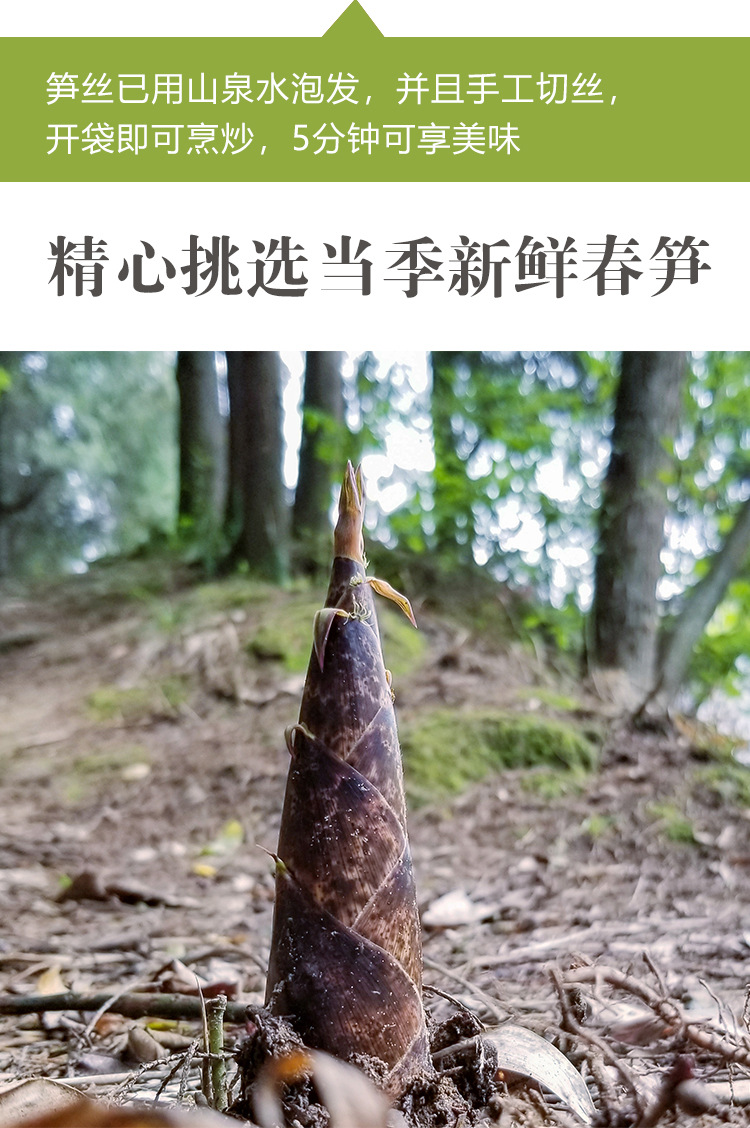 烟笋_05
