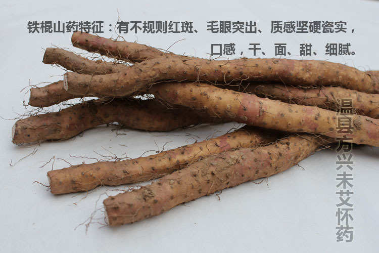 土山药_副本_副本