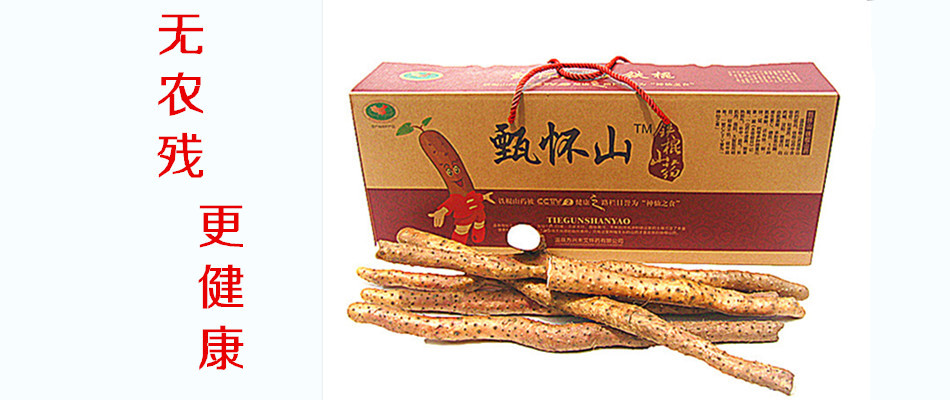 铁棍山药仿画11_副本1