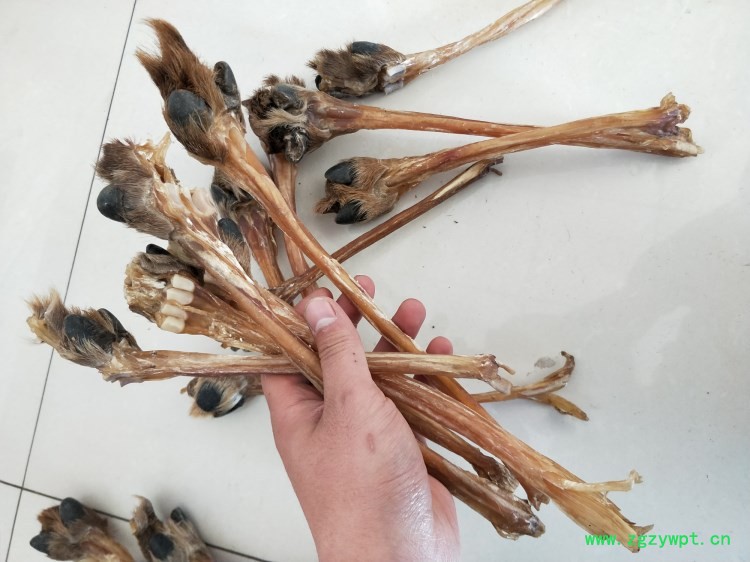 牛膝**汤鹿蹄子质量保证