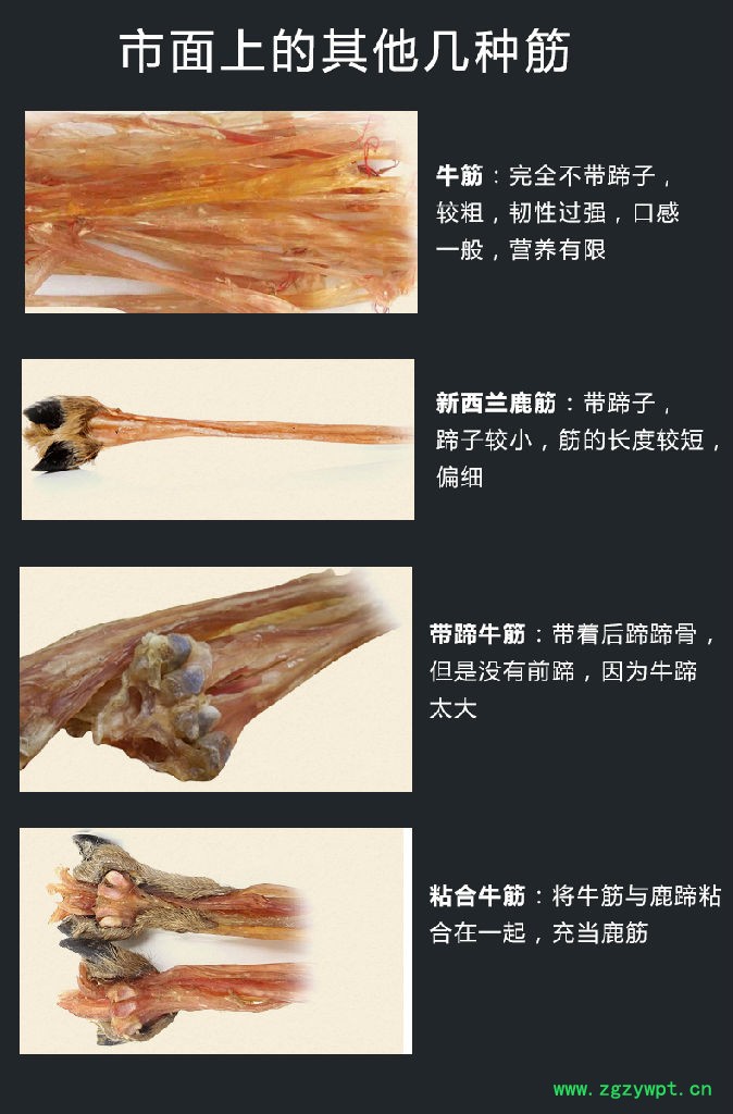 牛膝**汤鹿蹄子质量保证