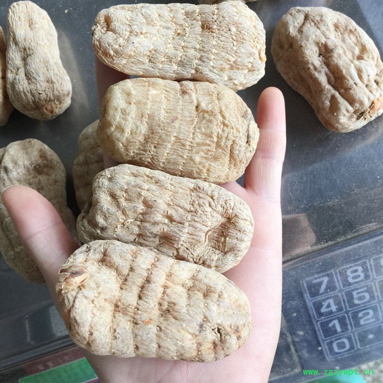 天麻和川芎能一起煲汤天麻山药炖鸡做法