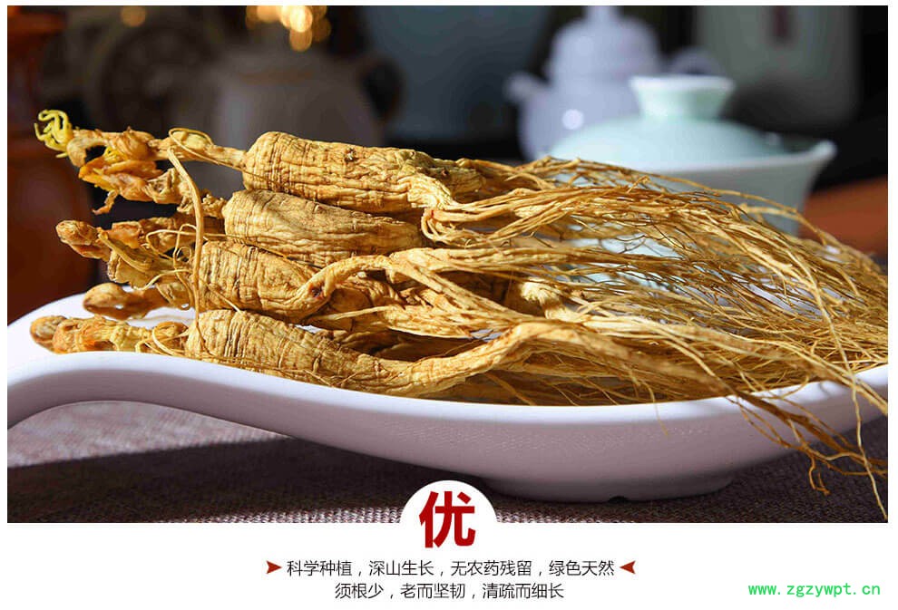 山参玉竹鸡汤移山参价钱林下参泡酒