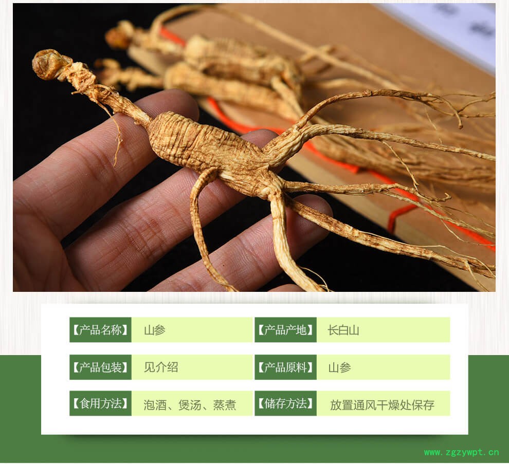 山参玉竹鸡汤移山参价钱林下参泡酒