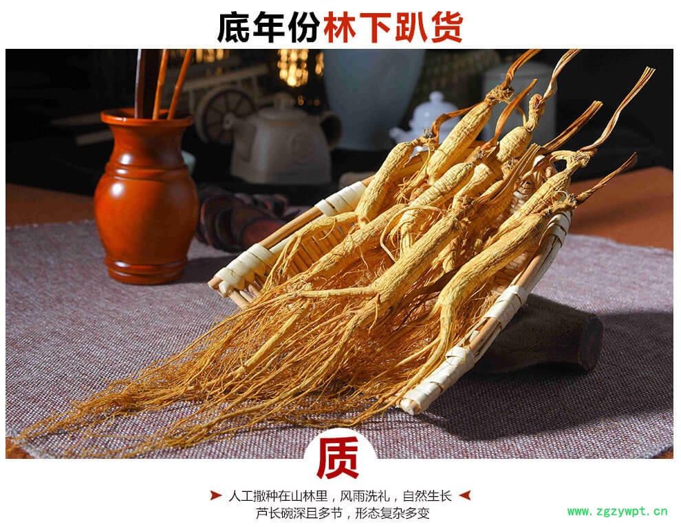 山参玉竹草菇全须生晒参林下参15年残枝