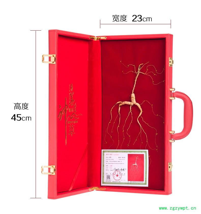 野山参礼盒**林下参20年林下参山参玉竹草菇