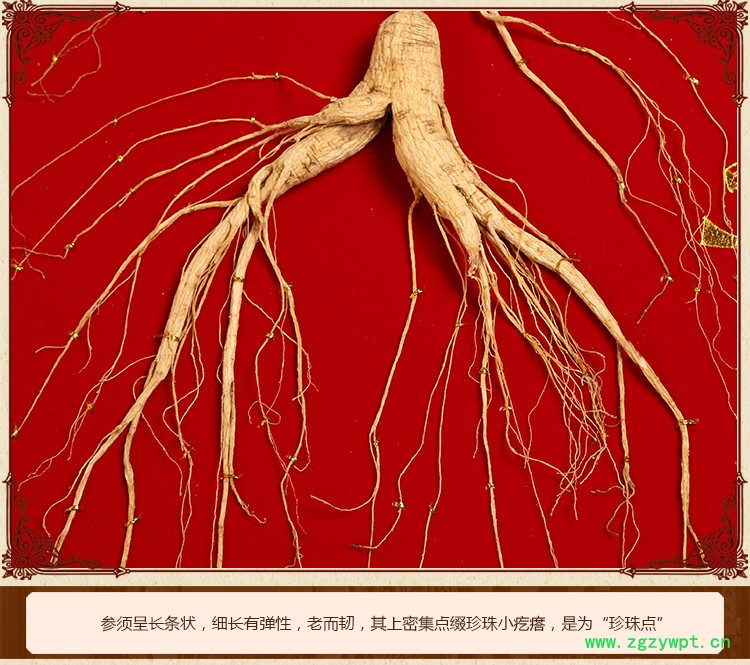 长白山人参野山参礼盒长白山野山参林下参山参玉竹鸡汤