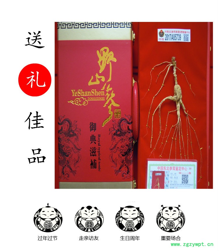 长白山人参野山参礼盒长白山野山参林下参山参玉竹鸡汤