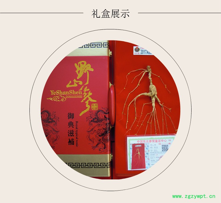 长白山人参野山参礼盒长白山野山参林下参山参玉竹鸡汤