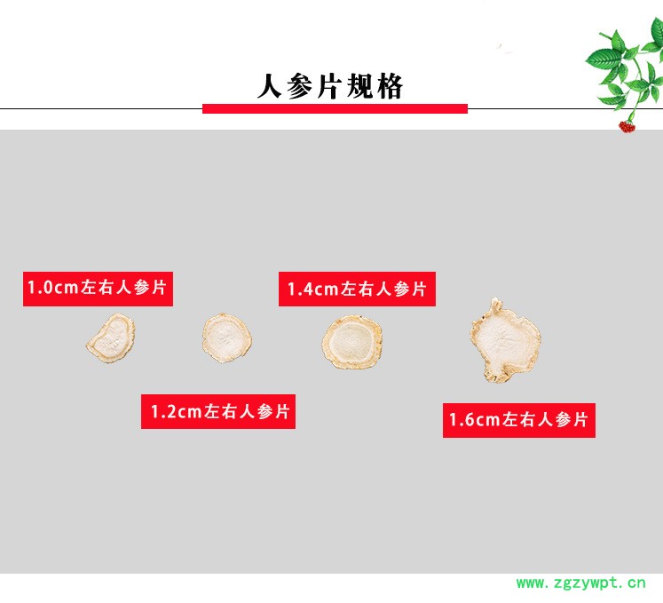 正宗长白山西洋参片西洋参片礼盒价格西洋参片支手选西洋参
