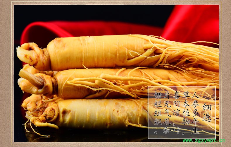 西洋参保鲜参 6年鲜人参价格 养心安神