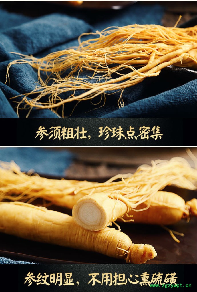 西洋参保鲜参 6年鲜人参价格 养心安神