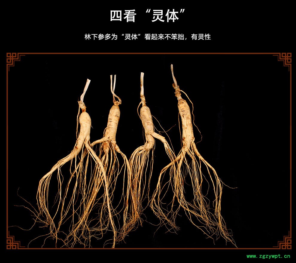 移山参西洋参生晒参片移参林下参野人参