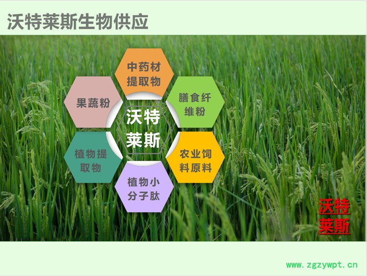 微信图片_20210619152722.jpg 微信图片_20210619152722.jpg