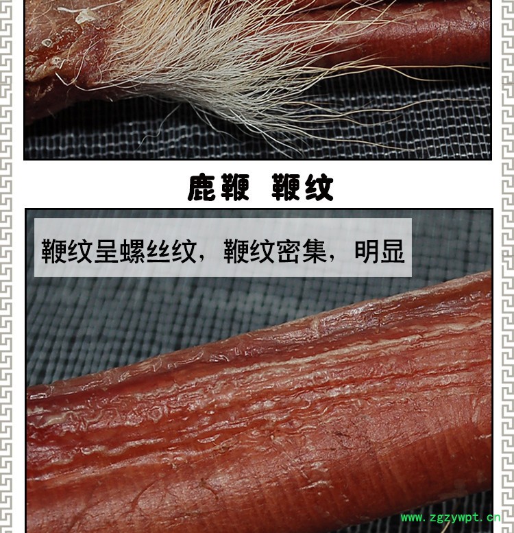 人参鹿鞭鹿茸礼盒鲜鹿鞭新鲜鹿茸片鹿鞭片质量保证