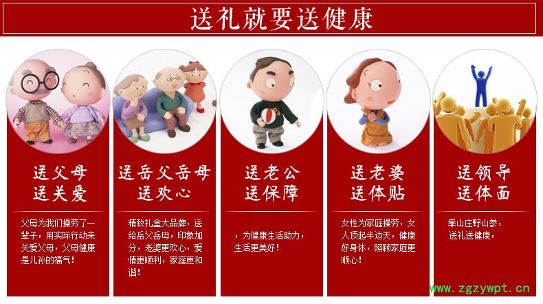 鹿茸野山参泡酒移山参林下参白参林下参