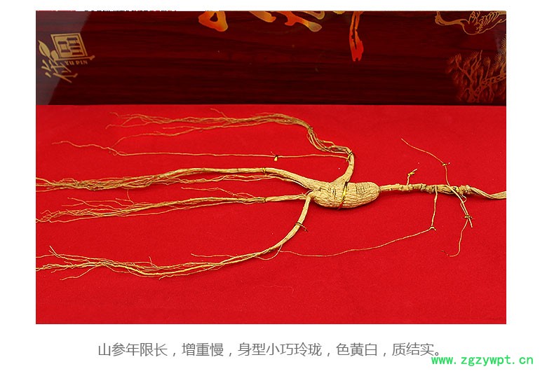 林下野山参礼盒东北10年林下参价格中国东北山参鹿茸礼盒
