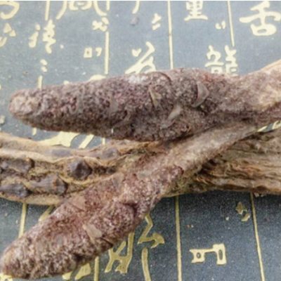 中药材批发锁阳切片泡酒料 锁阳条无杂锁阳个散装新疆金锁阳